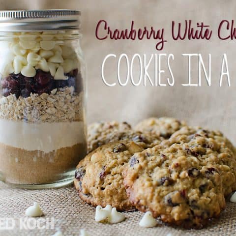 Cranberry Whit Chocolate Chip Cookies in a Jar - Gift