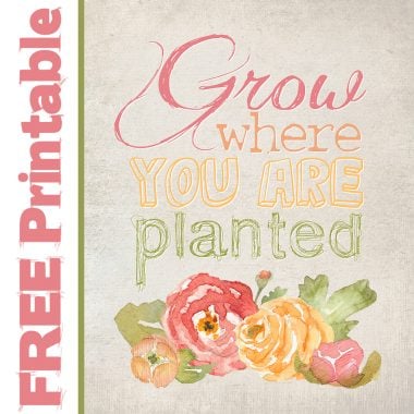 FREE PRINTABLE - Grow where you are planted