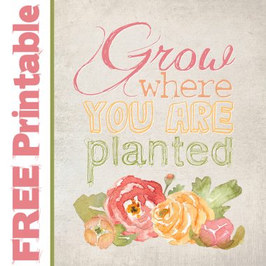 FREE PRINTABLE - Grow where you are planted