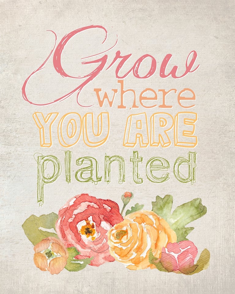 Grow where you are planted - free printable