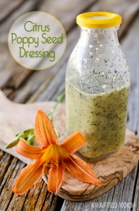 Citrus Poppyseed Dressing - Krafted Koch