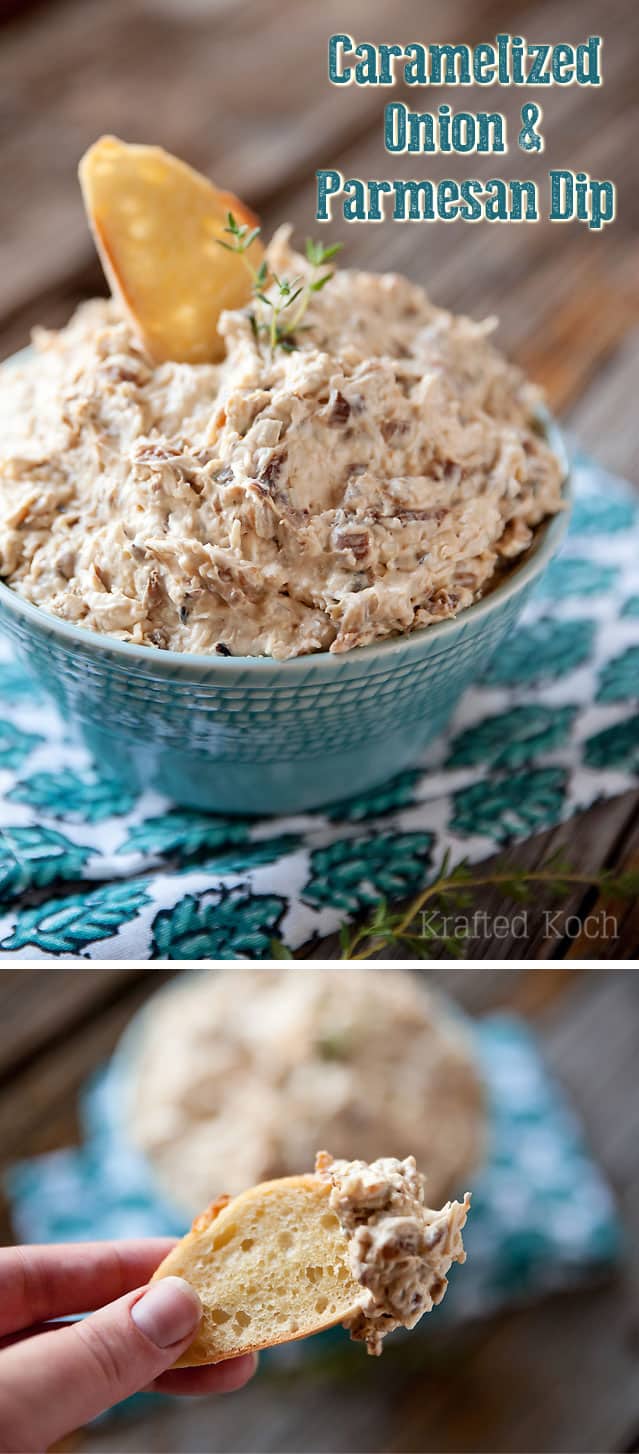 caramelized onion & parmesan dip