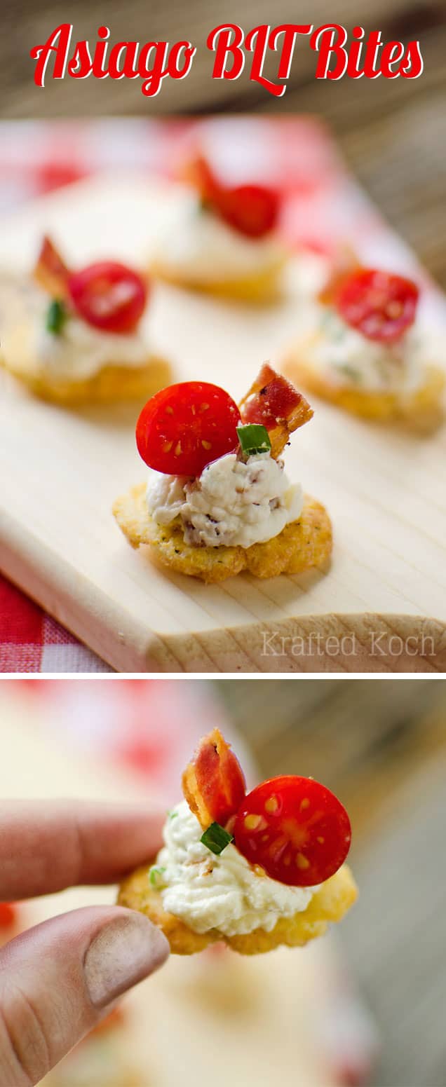 Asiago BLT Bites - Krafted Koch - A quick and easy appetizer recipe the whole crowd will love!