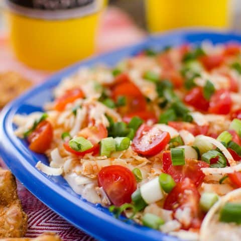Creamy Green Chile & Cheese Dip