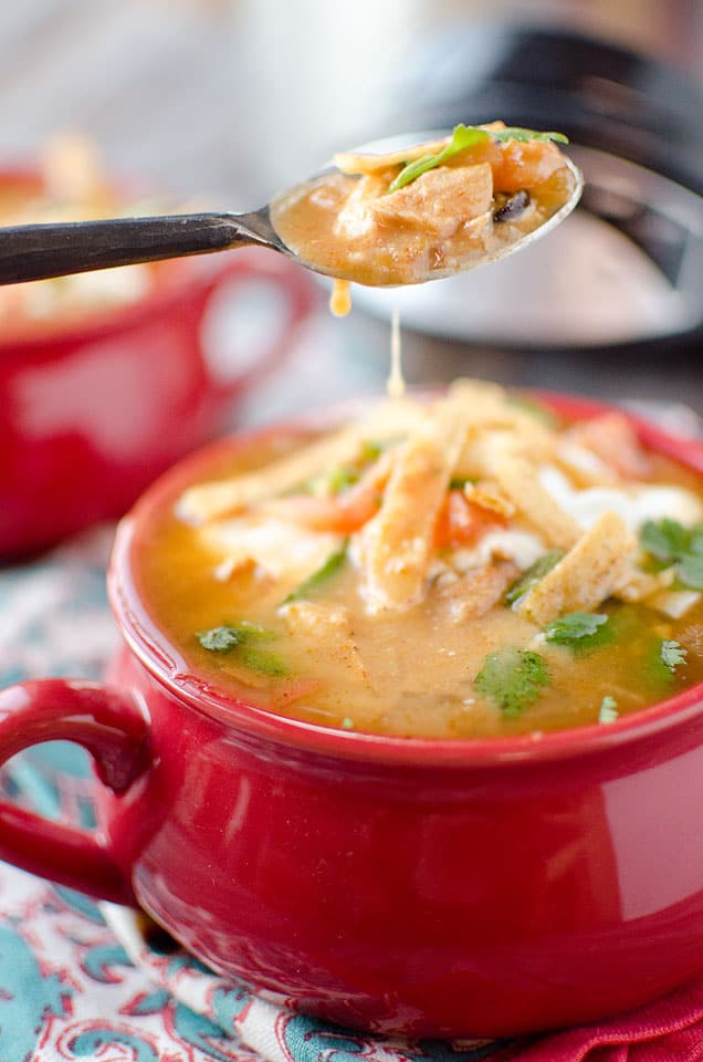 Chicken Tortilla Soup Crock Pot - Dash of Sanity