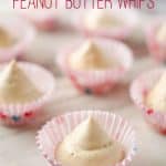 Skinny Frozen Peanut Butter Whips - A fast and easy two-ingredient treat that is light and will satisfy your sweet craving, fill you up and taste amazing! #Skinny #Light #Healthy #Sweet #Treat