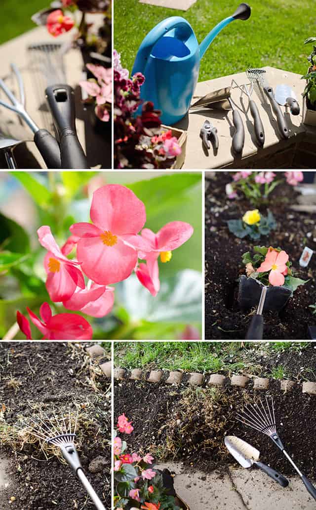 spring flower and herb gardening with OXO