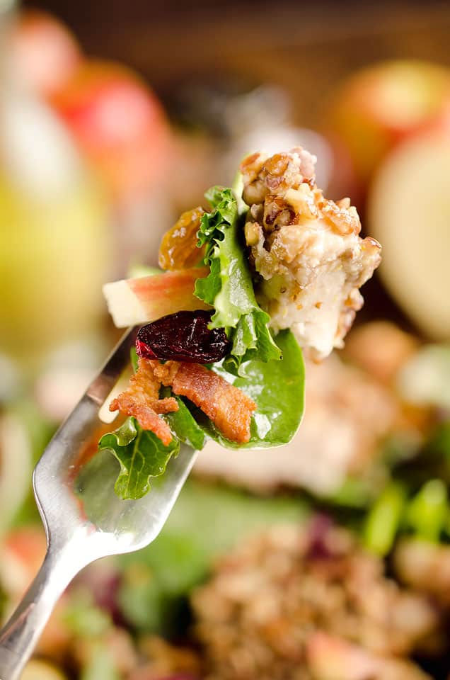 Harvest Salad with Pecan Crusted Chicken is full of great fall flavors including dried cranberries, golden raisins, bacon, chopped apples and a tender chicken breast crusted with toasted pecans. 