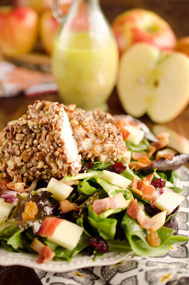Harvest Salad with Pecan Crusted Chicken is full of great fall flavors including dried cranberries, golden raisins, bacon, chopped apples and a tender chicken breast crusted with toasted pecans.
