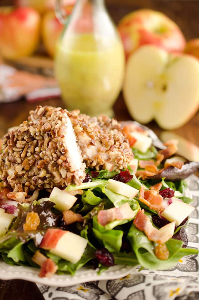 Harvest Salad with Pecan Crusted Chicken is full of great fall flavors including dried cranberries, golden raisins, bacon, chopped apples and a tender chicken breast crusted with toasted pecans. 