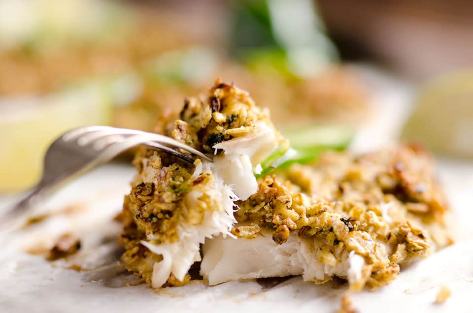 Baked Tortilla Crusted Tilapia is a light and healthy dinner idea with a crunchy tortilla and jalapeño crust full of spicy southwestern flavors.