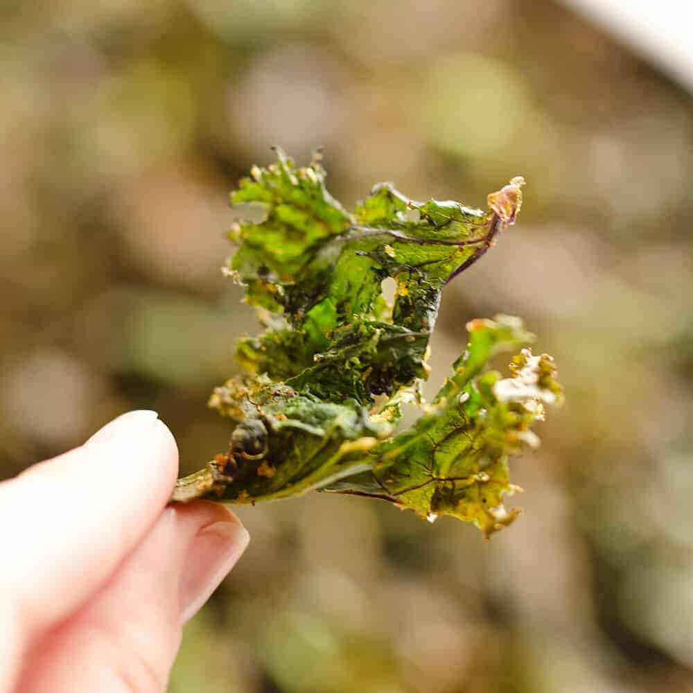 Spicy Kale Chips are beautifully crisp and loaded with bold chipotle flavor for a healthy snack. They are perfect for the munchies or paired with your favorite sandwich on the side!