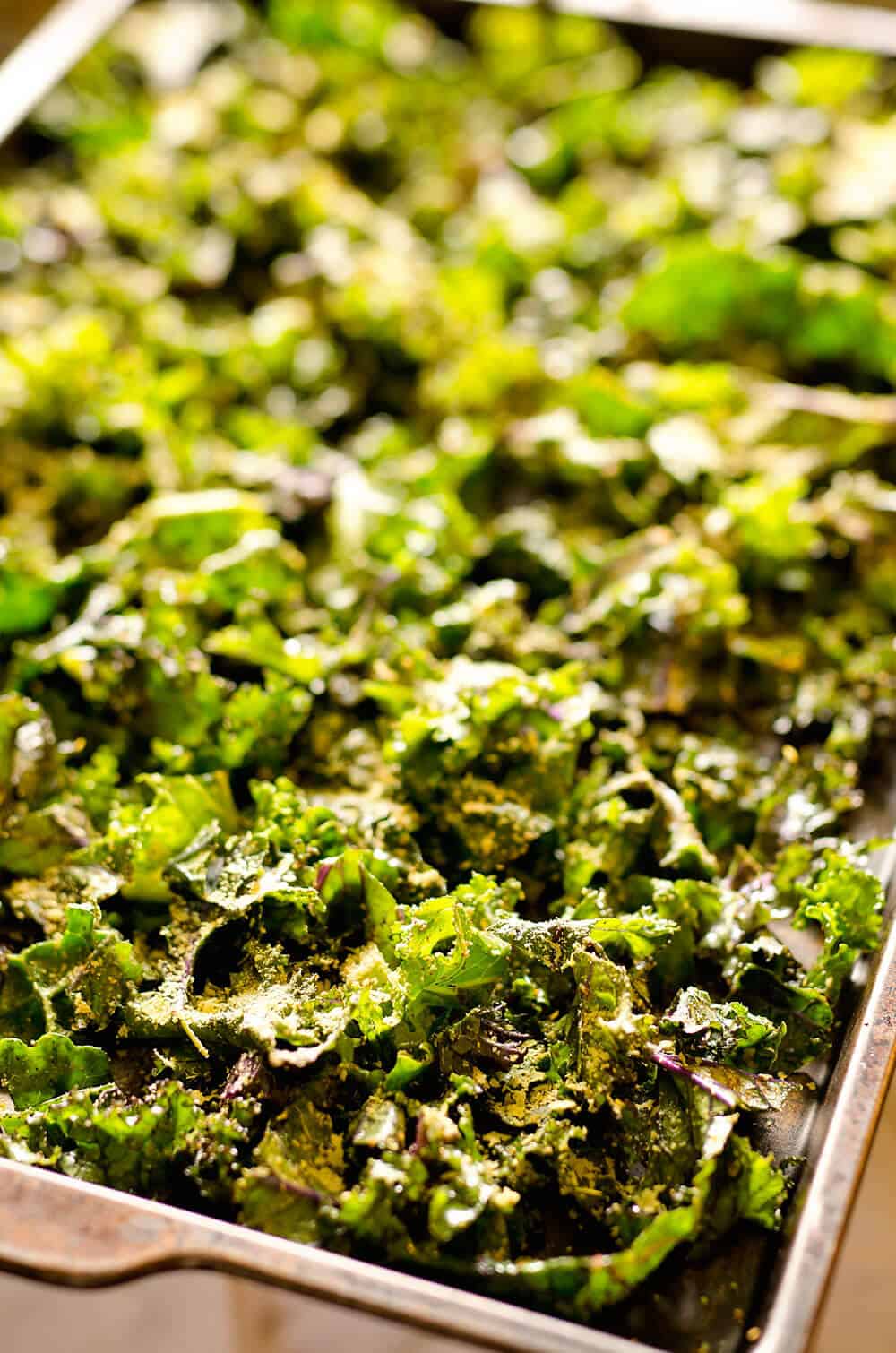 Spicy Kale Chips are beautifully crisp and loaded with bold chipotle flavor for a healthy snack. They are perfect for the munchies or paired with your favorite sandwich on the side!