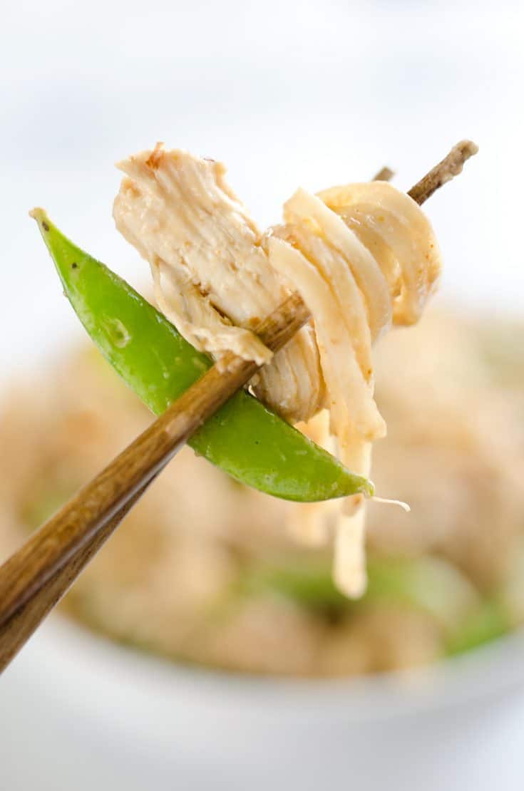 Pressure Cooker Thai Peanut Chicken & Noodles