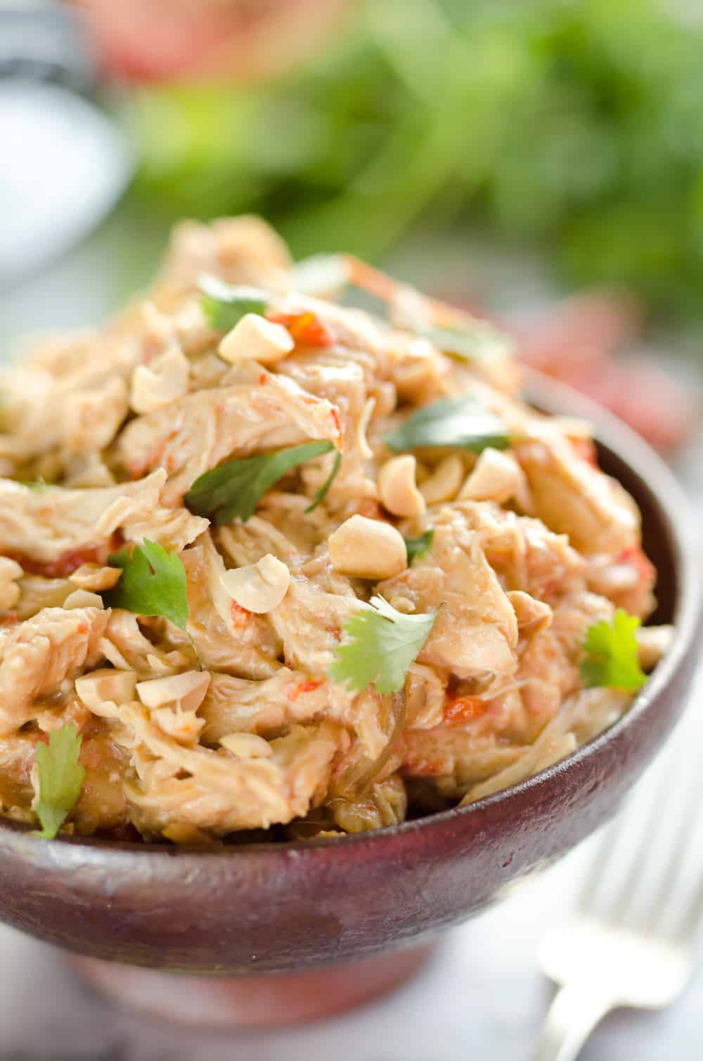 Crock Pot Thai Peanut Chicken is an easy weeknight dinner idea you can make with everything from rice and veggies to lettuce cups for a healthy and delicious meal!