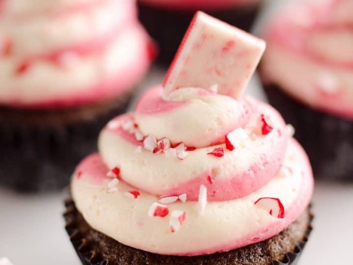 Peppermint Chocolate Candy Cane Cupcakes