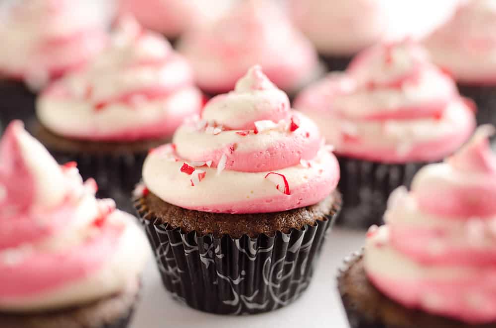 Peppermint Chocolate Candy Cane Cupcakes are a beautifully festive dessert perfect for the holidays! Moist homemade chocolate cupcakes are topped with a candy cane swirl of buttercream and topped with peppermint for a seasonal treat. 