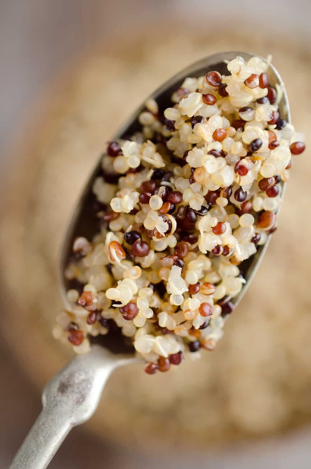 Easiest Fluffy Quinoa Recipe {Pressure Cooker}