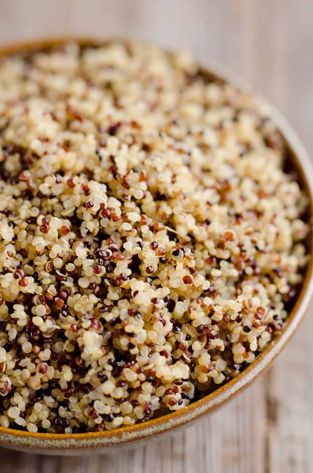 https://www.thecreativebite.com/wp-content/uploads/2017/04/Easiest-Fluffy-Quinoa-Recipe-Pressure-Cooker-The-Creative-Bite-4-copy.jpg