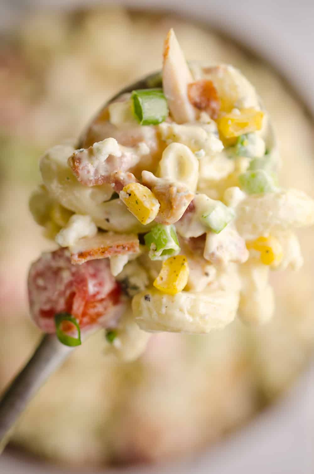 Creamy Turkey Cobb Pasta Salad is a fresh and flavorful side dish perfect for your next picnic or potluck. Pasta, Jennie-O turkey breast, bacon, bleu cheese and veggies are tossed in a zesty avocado sauce for a salad bursting with flavor and crunch. 