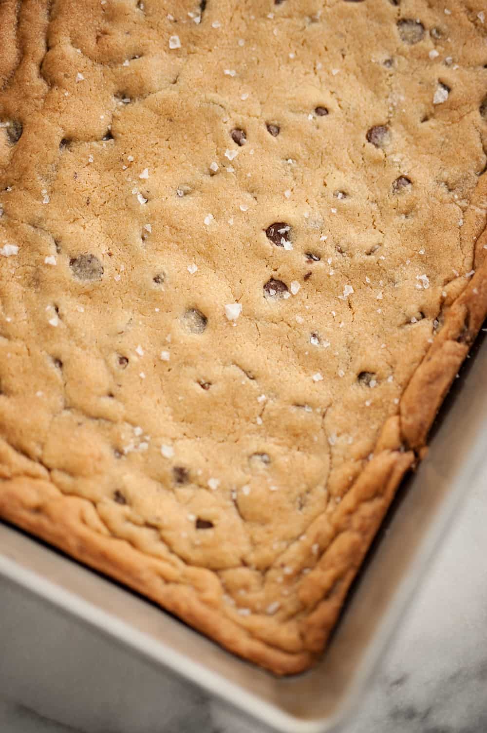 Salted Chocolate Chip Cookie Bars pan of bars