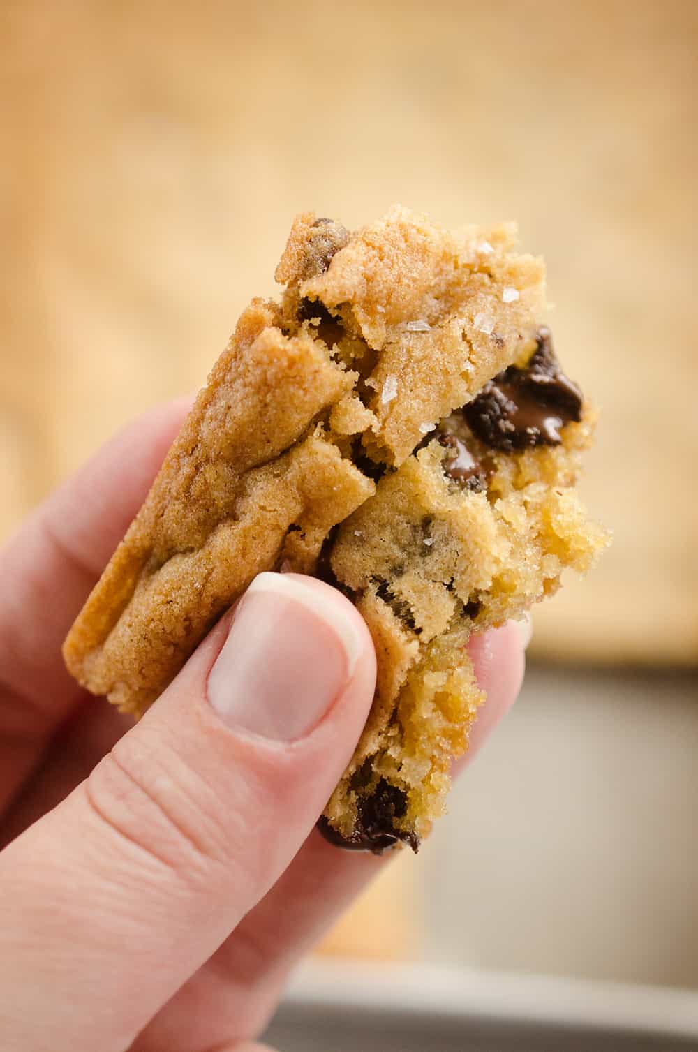 Salted Chocolate Chip Cookie Bars bite