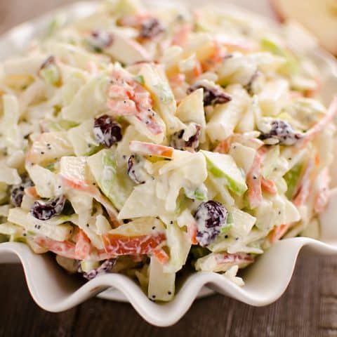 Apple Cranberry Poppy Seed Slaw Salad bowl