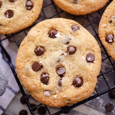 Best Chewy Chocolate Chip Cookie Recipe