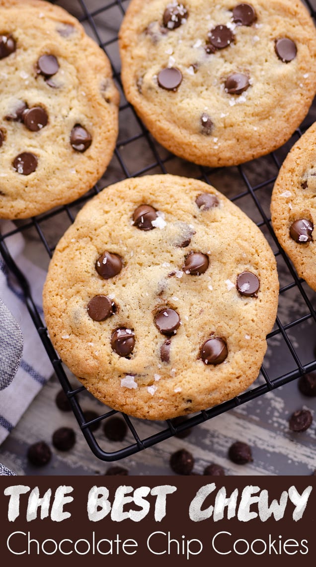 Chewy Chocolate Chip Cookies - A favorite recipe!