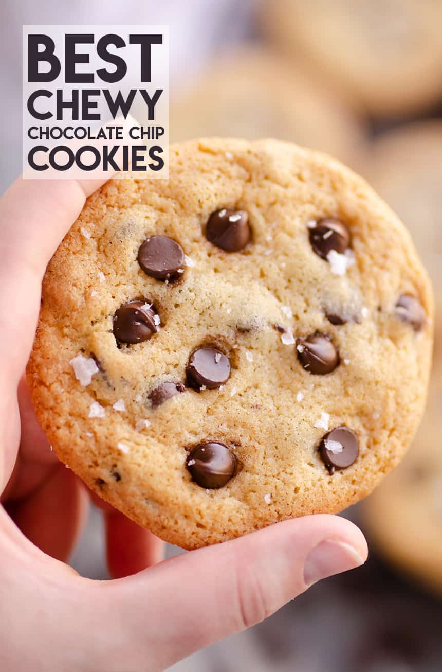Best Chewy Chocolate Chip Cookie Recipe