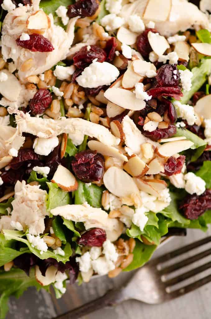 Cranberry Farro Chicken Salad served on plate