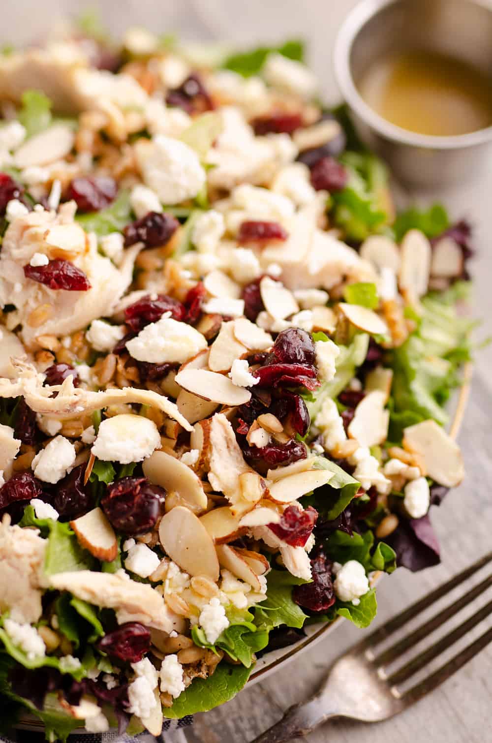 Cranberry Farro Chicken Salad Healthy Salad in Jar Recipe