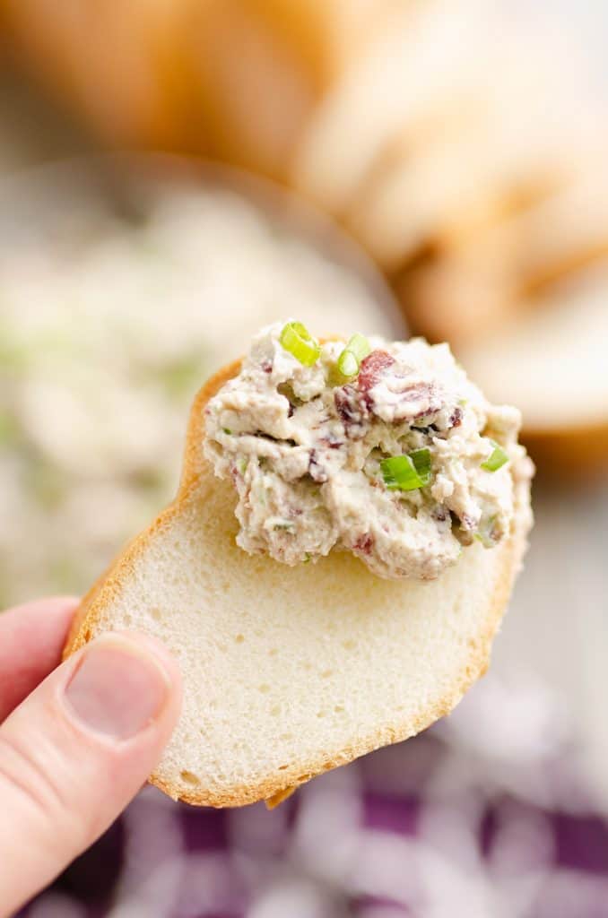 Cranberry Pecan Feta Dip on slice of bread