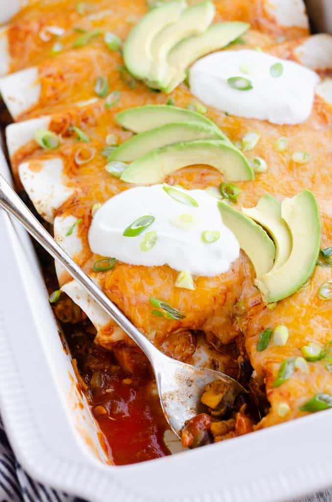 Black Bean & Squash Vegetarian Enchiladas served from pan