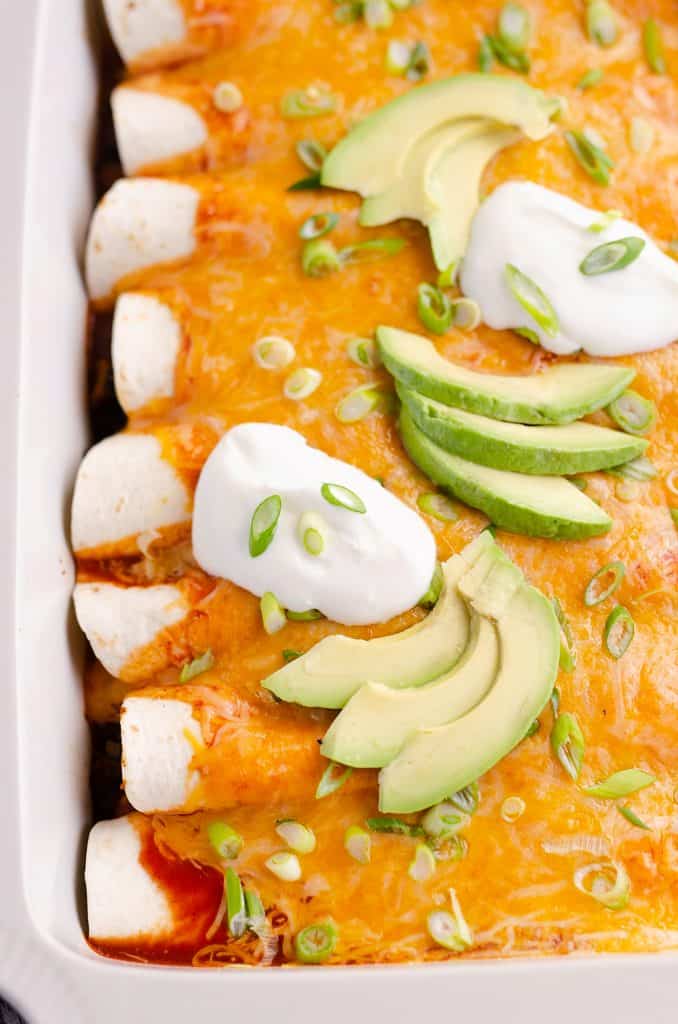 Black Bean & Squash Vegetarian Enchiladas in 9x13 pan