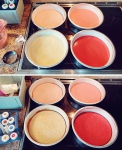 pink ombre cake layers baked