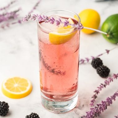 Purple Rain Cocktail served with lemon wedge and lavendar