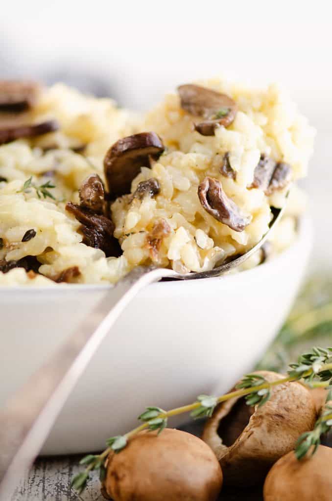 Spoonful of mushroom risotto on bowl with mushrooms and thyme