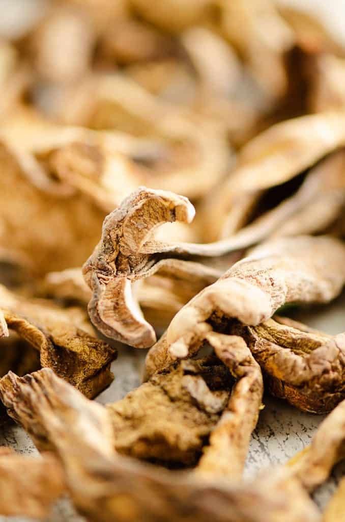 Dried Porcini Mushrooms