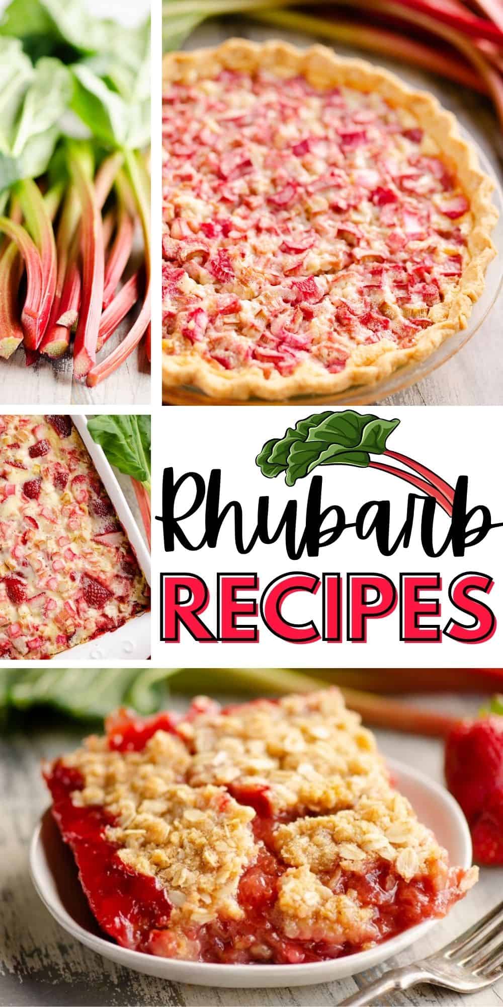 Rhubarb Recipes