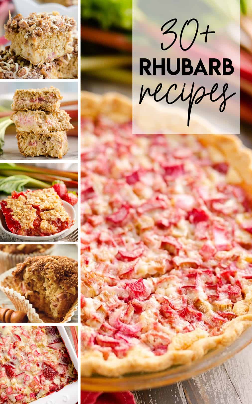 Rhubarb Recipes
