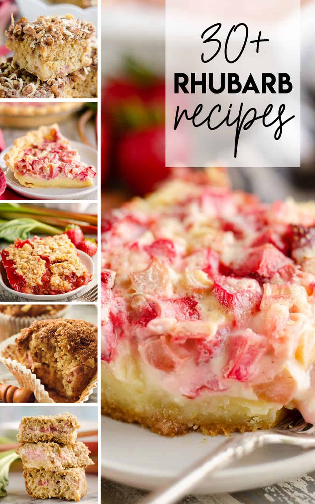 Rhubarb Recipes