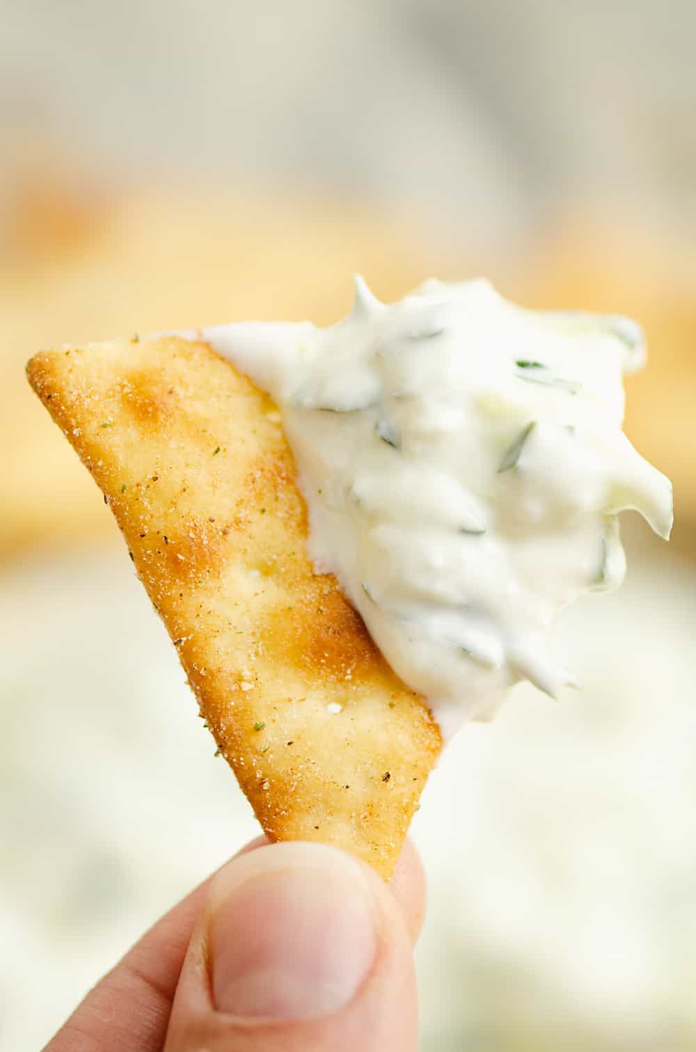 Cucumber Feta Greek Yogurt Dip The Creative Bite