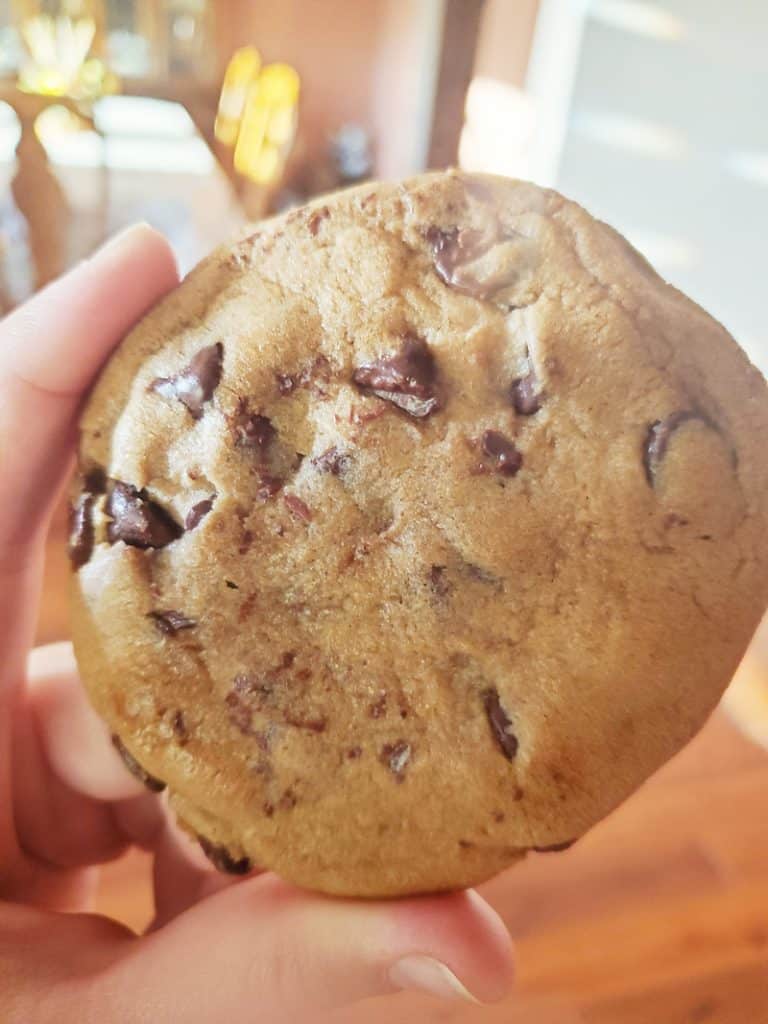 Gobble chocolate chip cookie in hand