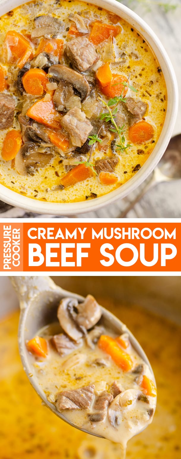 Pressure Cooker Beef and Rice Cream of Mushroom Soup Anderson