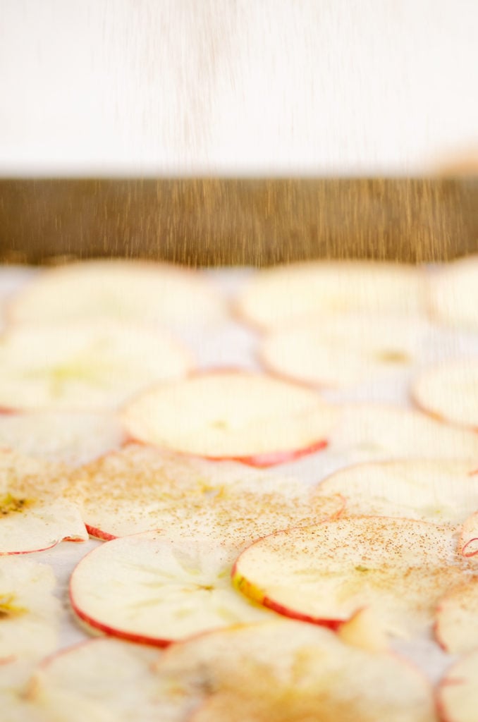 apple slices sprinkled with cinnamon