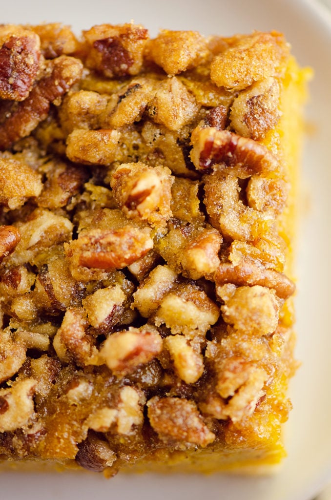 Pumpkin Pecan Custard Pie Bars topped with cinnamon pecans