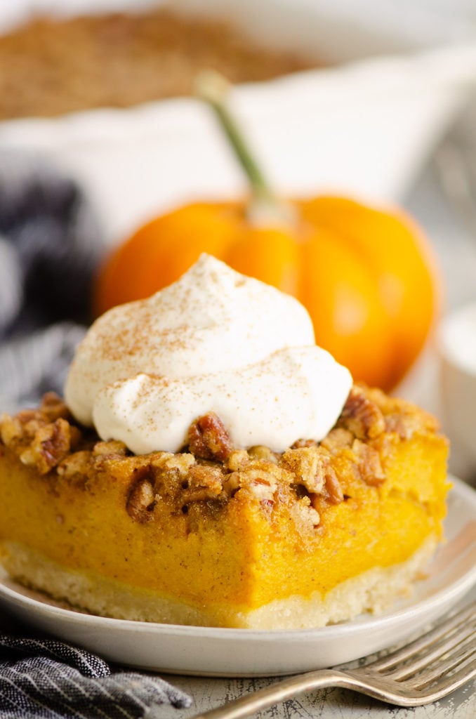 Pumpkin Pecan Custard Pie Bars with orange pumpkin