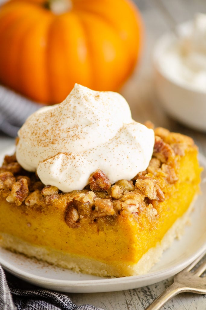 Pumpkin Pecan Custard Pie Bars topped with cinnamon whipped cream