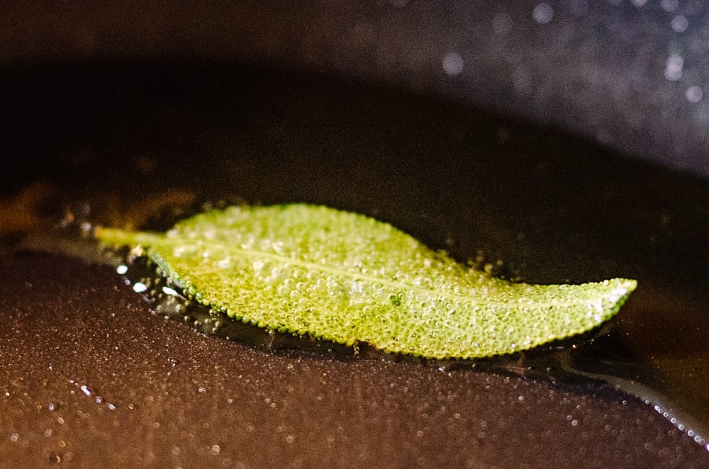 sage leaves fried in oil in nonstick pan